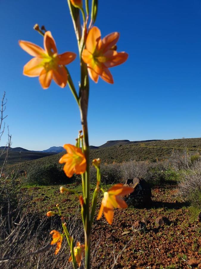 Namakwa Country Cottage Calvinia ภายนอก รูปภาพ