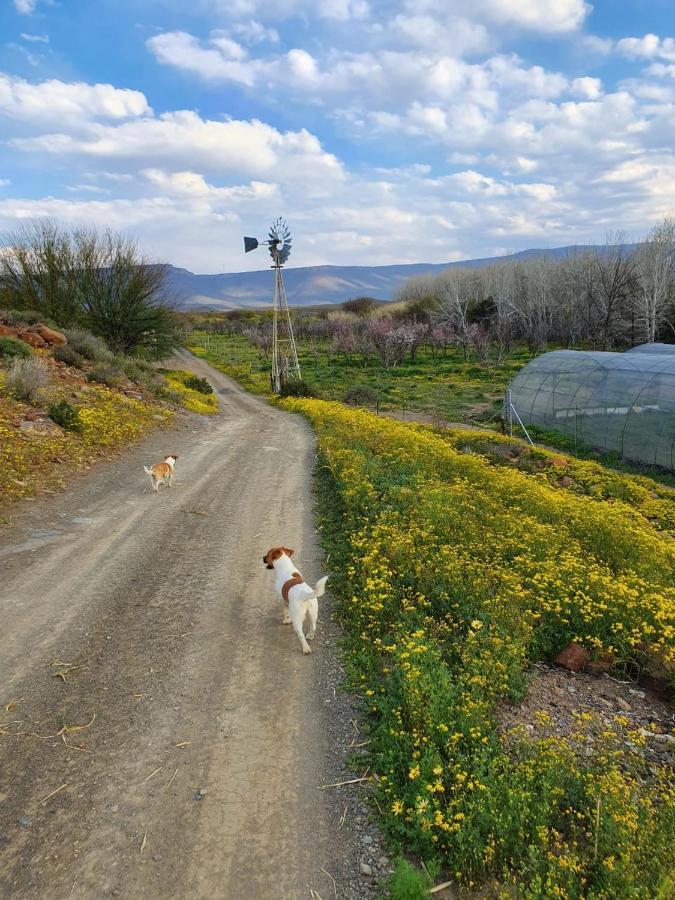 Namakwa Country Cottage Calvinia ภายนอก รูปภาพ